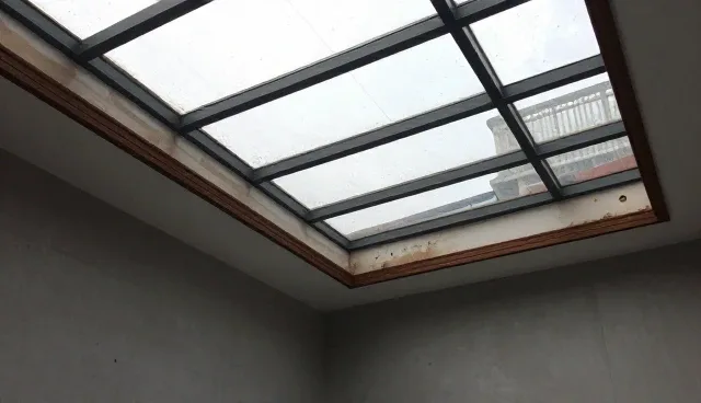 技术外包在技术推广中的适用情况与限制