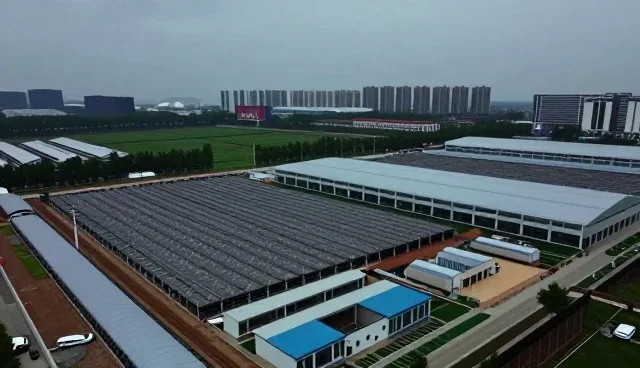 验收交付环节的常见问题及应对策略